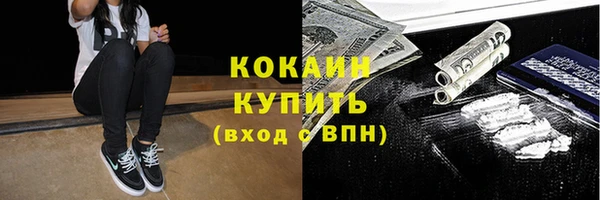 твердый Михайловск