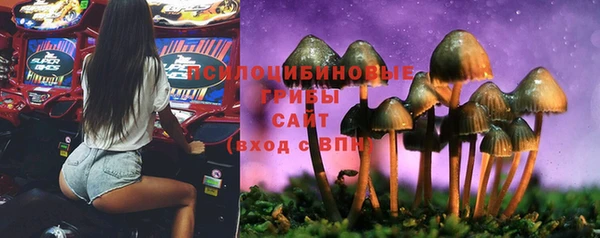 COCAINE Михайлов