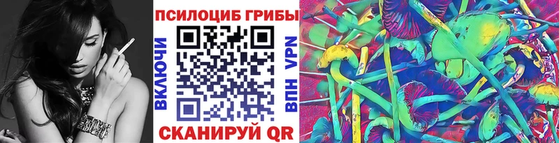 где купить Новоалтайск Псилоцибиновые грибы ЛСД